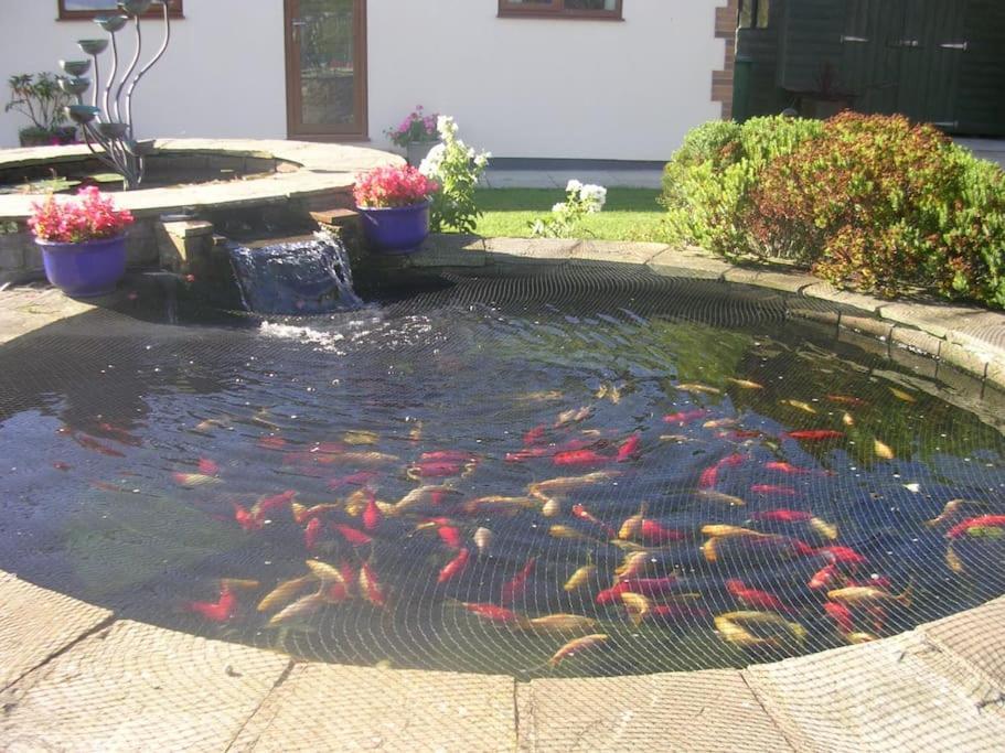 Coastal Garden Lodge Preesall ภายนอก รูปภาพ